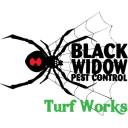 Black Widow Pest Control logo